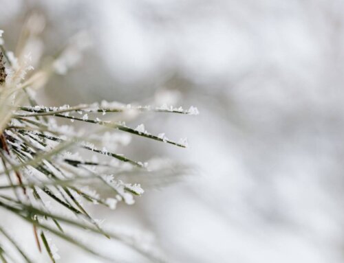 Winter Crochet Projects: Cozy and Creative Ideas for Cold Days